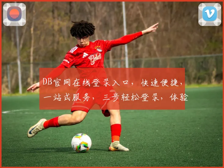 DB官网在线登录入口，快速便捷，一站式服务，三步轻松登录，体验非凡