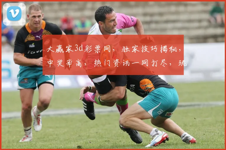 大赢家3d彩票网，独家技巧揭秘，中奖率高，热门资讯一网打尽，玩转彩市必备