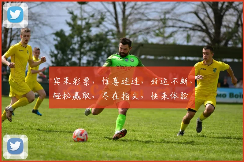 宾果彩票，惊喜连连，好运不断，轻松赢取，尽在指尖，快来体验