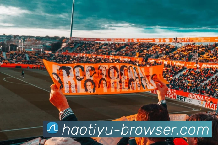 好体育快速入口平台生态图